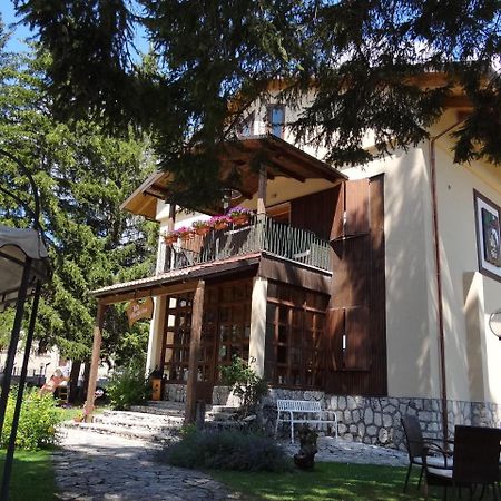 بيسكاسيرولي Villa Dei Pini المظهر الخارجي الصورة